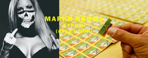 индика Абинск
