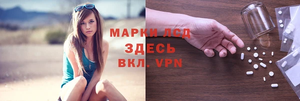 индика Абинск