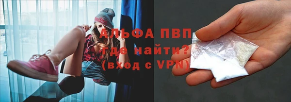 индика Абинск