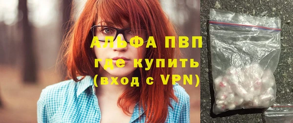 индика Абинск