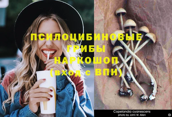 марки nbome Абаза