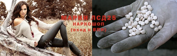 индика Абинск